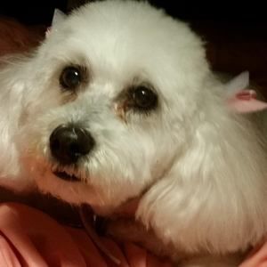 Meet your Posher, Anna